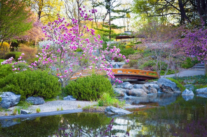 Deko japanischer garten