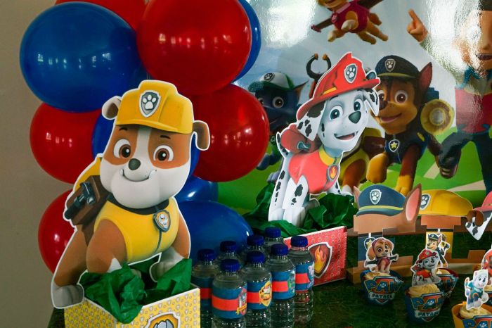 Paw patrol deko geburtstag